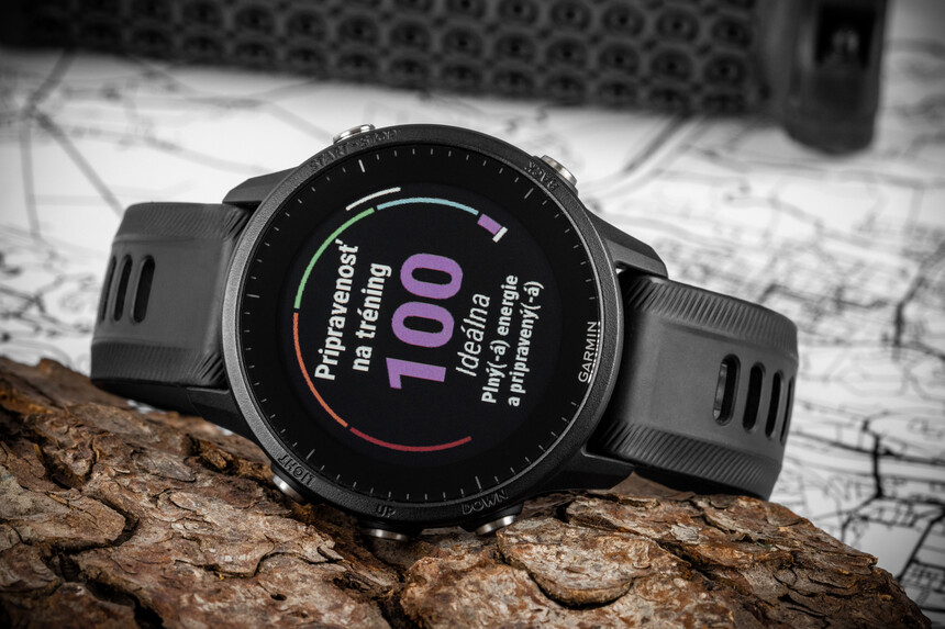 Watch Garmin Forerunner 255 Slate Grey