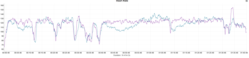 Swimming. Blue – Coros Pace 4, purple – Polar Verity Sense.