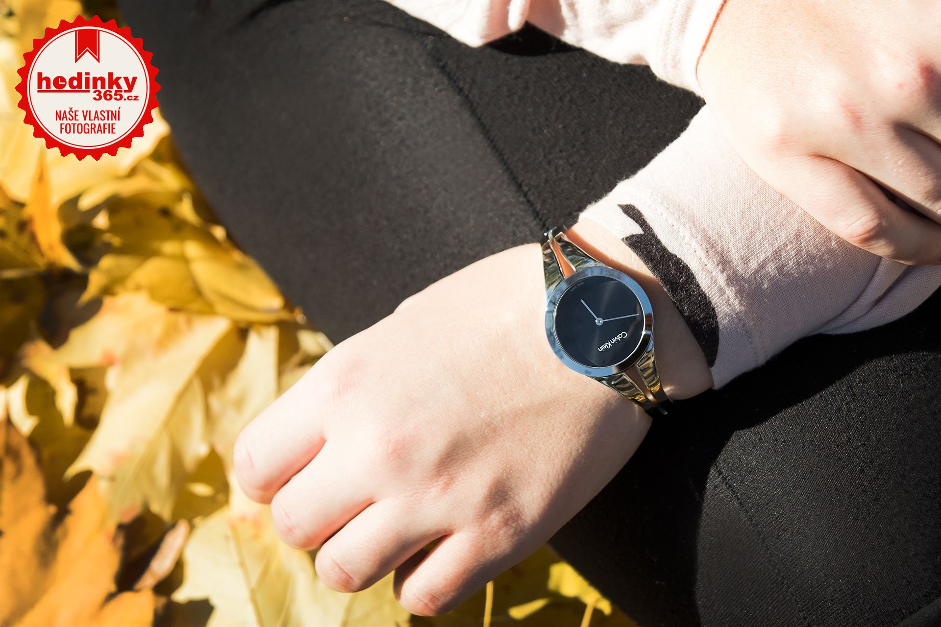 calvin klein addict watch