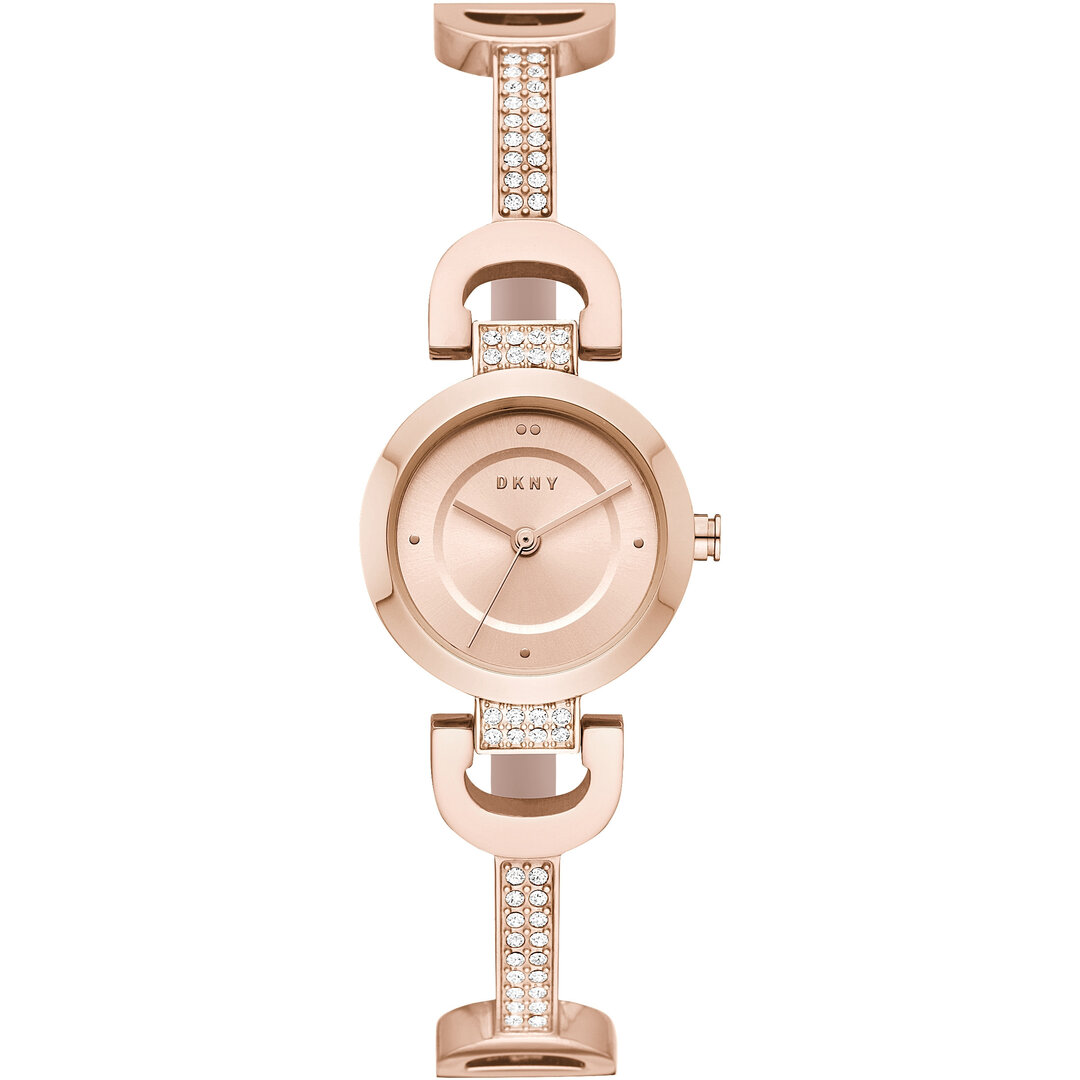 DKNY City link NY2752 Hodinky 365