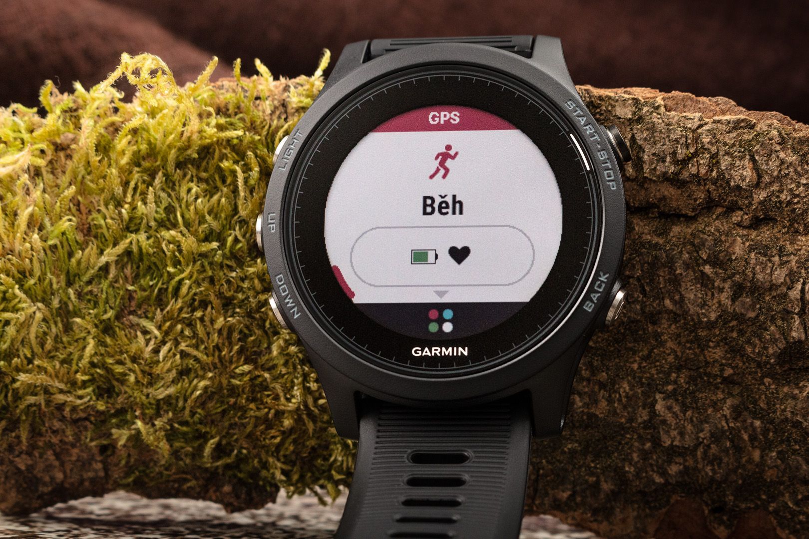 garmin forerunner 365