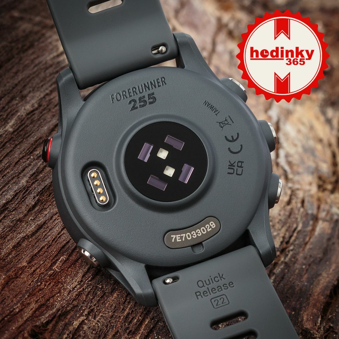 Watch Garmin Forerunner 255 Slate Grey