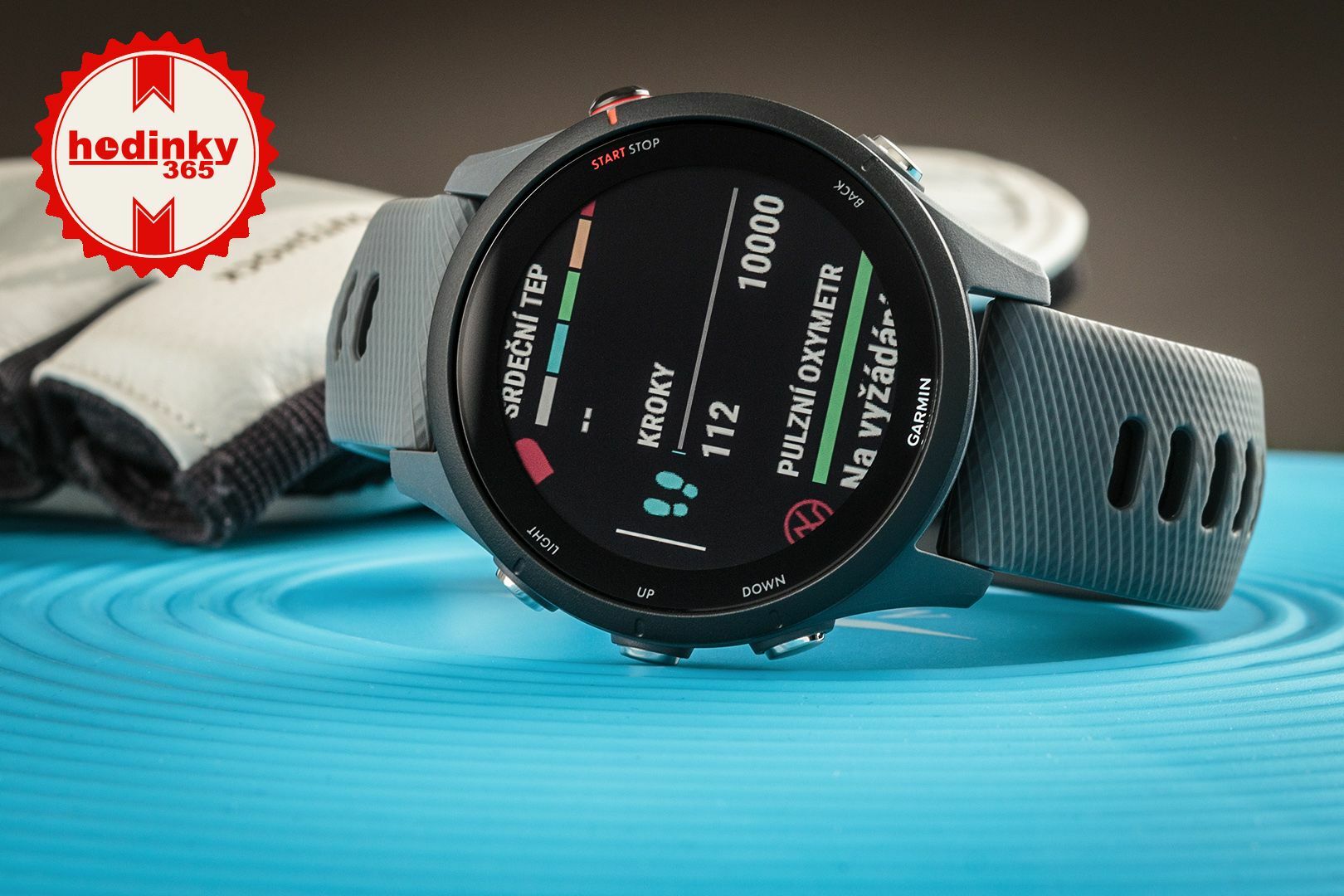 Watch Garmin Forerunner 255 Slate Grey