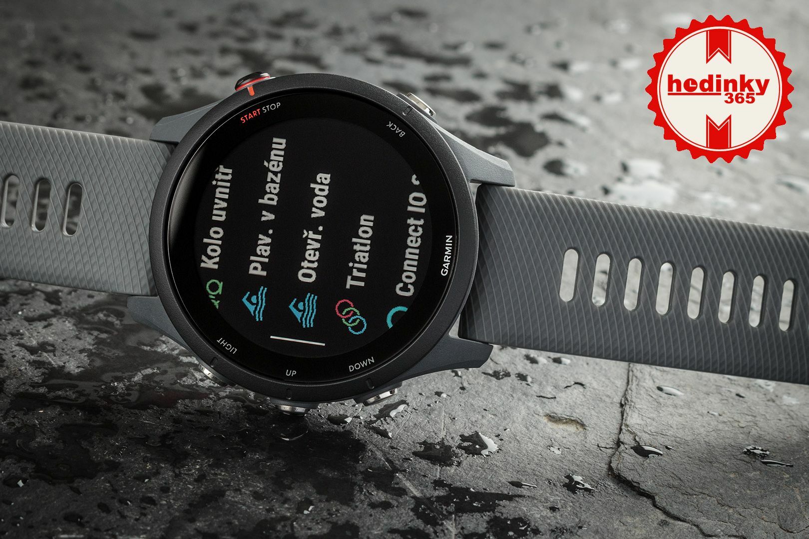 Watch Garmin Forerunner 255 Slate Grey