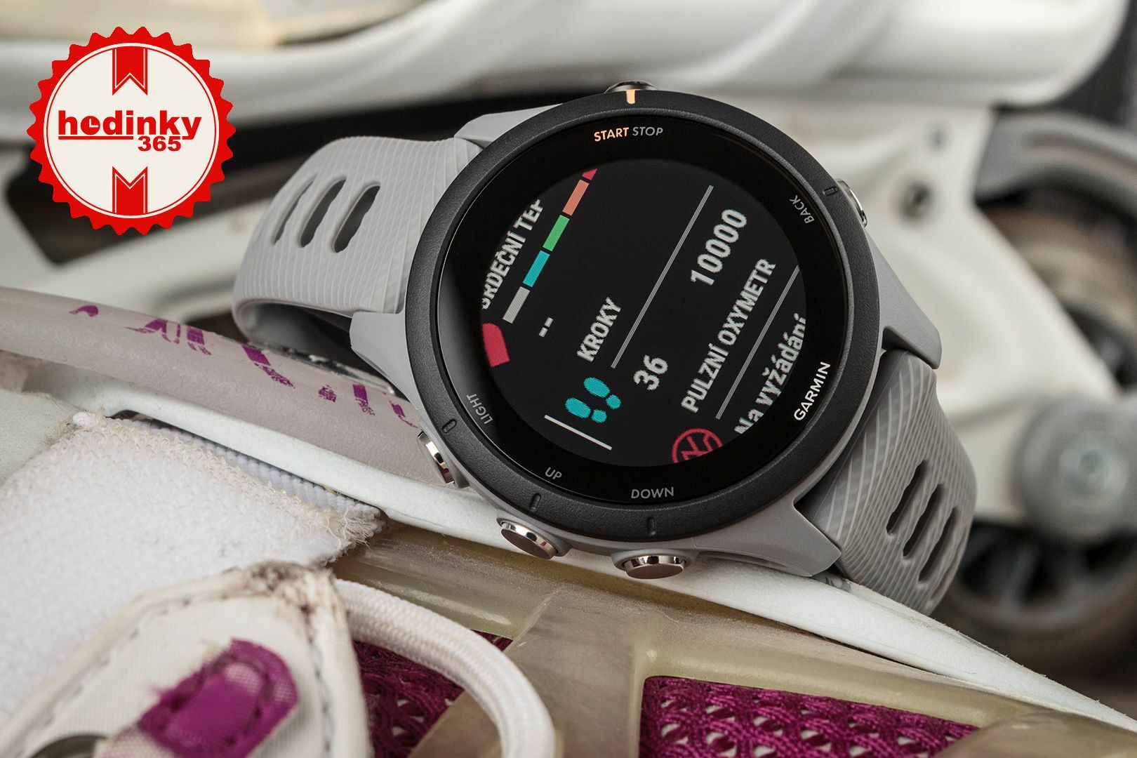 Watch Garmin Forerunner S Powder Grey