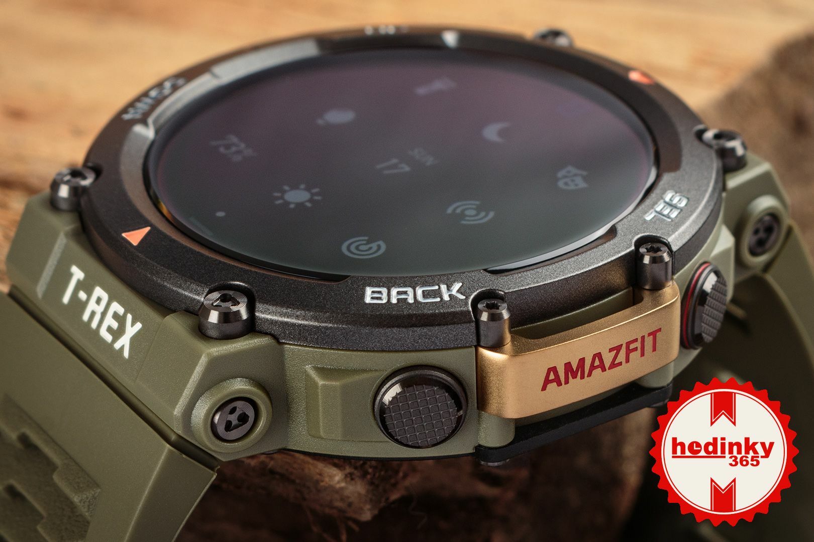 Anhoch PC Market Online - Smartwatch Amazfit T-Rex 2 Desert Khaki