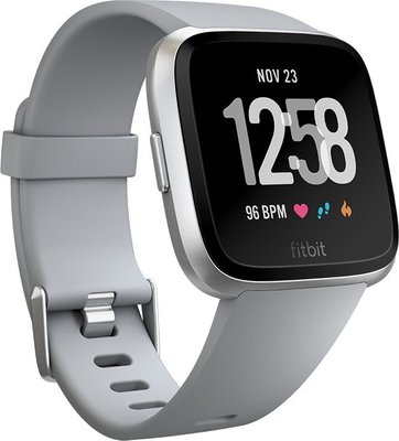 Fitbit Versa Gray / Silver Aluminum FB505SRGY-EU