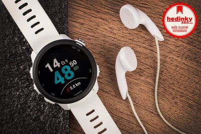 garmin 365 music