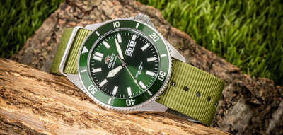 Nylon strap Ricardo, green V1, NATO