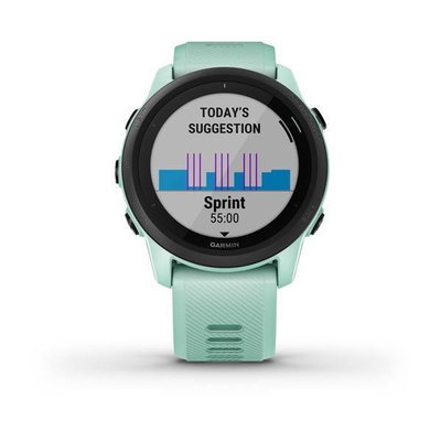 garmin 365 music
