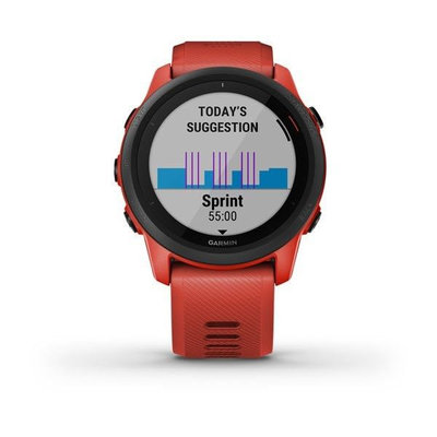 garmin 365 music