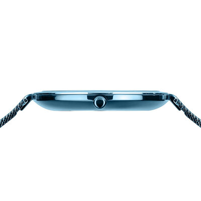 Bering Charity2 18132 (+ plush teddy bear)