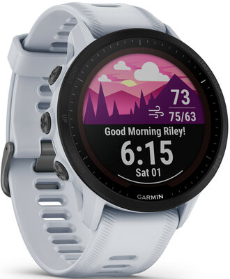Garmin Forerunner 955 PRO Solar Whitestone | Hodinky-365.com