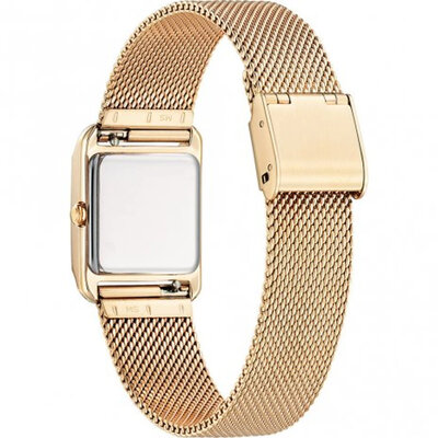 Citizen Elegant Eco-Drive EW5593-64D (+ replacement strap)