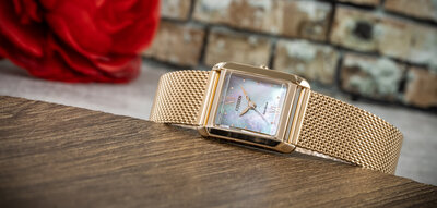 Citizen Elegant Eco-Drive EW5593-64D (+ replacement strap)