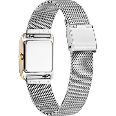 Citizen Elegant Eco-Drive EW5596-66X (+ spare strap)