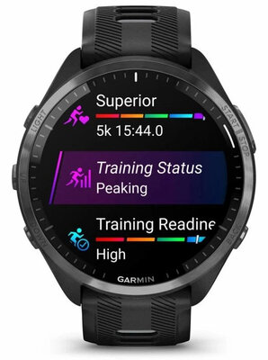 Garmin Forerunner 965 Black / Powder Gray