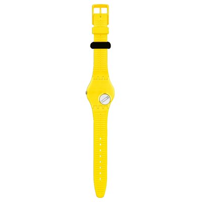 Swatch SO28Z117