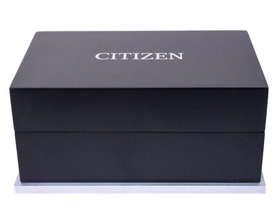 Citizen Series 8 Automatic NA1010-84X