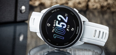 Garmin Forerunner 165, Mist grey/Whitestone