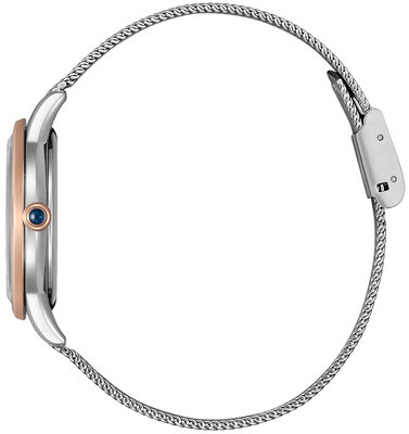 Citizen Elegant Eco-Drive EM1156-80X