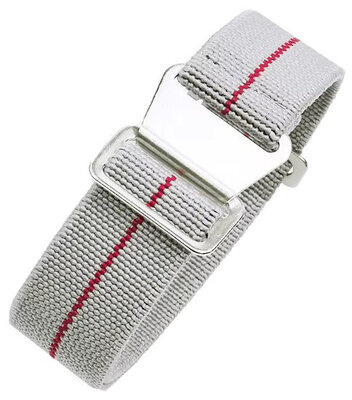 Ricardo nylon strap, grey