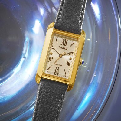 Citizen Elegant Eco Drive EW5622-09P