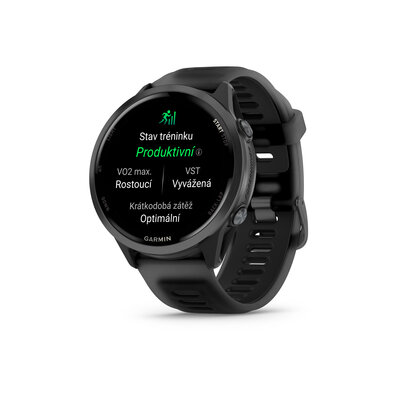 Garmin Forerunner 570 (47mm), Slate Gray, Translucent Black
