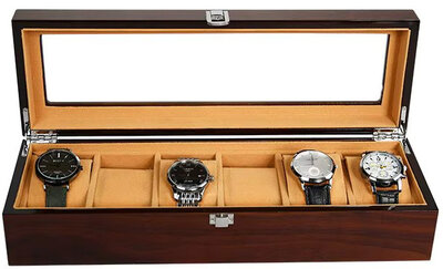 Watch case Ricardo Iseo DWX52-6