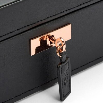 Watch case Wolf Axis 488116