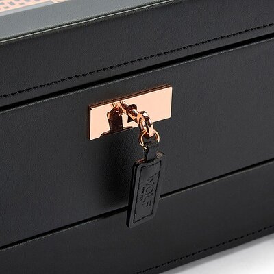 Watch case Wolf Axis 488216