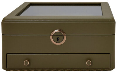 Watch box Wolf Earth 190741