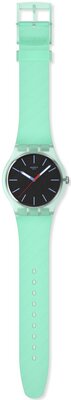 Swatch Hint of Mint SO29L103