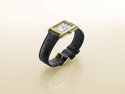 Maurice Lacroix Fiaba Quartz Ladies FA1205-PVY01-110-2