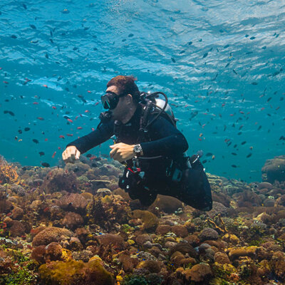 Timex Deepwater Meridian TW2W82100