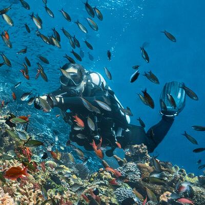 Timex Deepwater Meridian TW2W82100