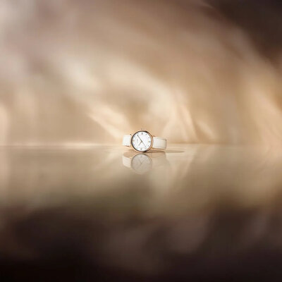 Wenger Urban Donnissima Quartz 60.1721.119 (+ spare strap)