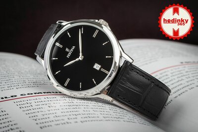 Festina Klasik 16745/5