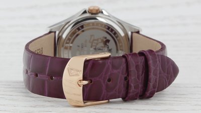 Festina Trend 16929/2