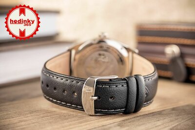 Festina Classic Strap 20446/1