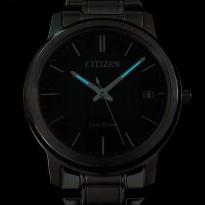 Citizen Elegant Eco-Drive FE6011-81L