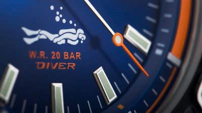 Festina The Originals 20461/1