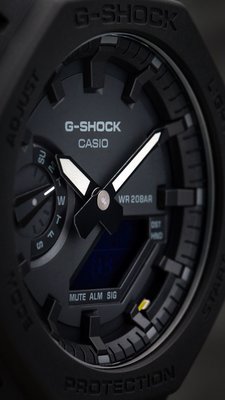 Casio G-Shock Original GA-2100-1A1ER Carbon Core Guard