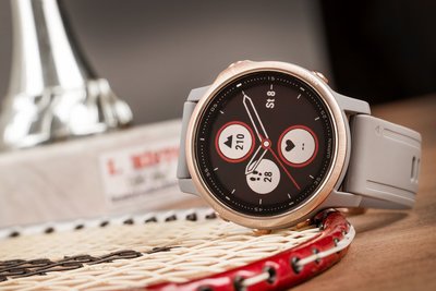 Garmin Fenix 6S PRO Sapphire, RoseGold/Gray Band (MAP/Music)