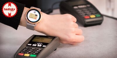 Garmin Fenix 6S PRO Sapphire, RoseGold/Gray Band (MAP/Music)