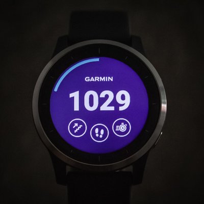 Garmin Vívoactive 4 Silver/Gray Band