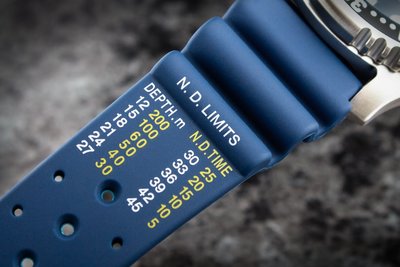 Citizen Promaster Marine Automatic Diver's NY0040-17LE