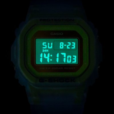 Casio G-Shock Original DW-5600LS-2ER Color Skeleton Series
