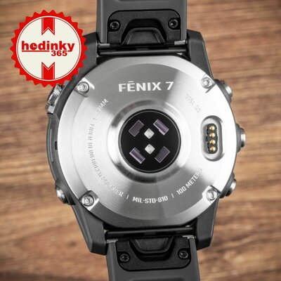 Garmin Fenix 7 Silver / Black Band