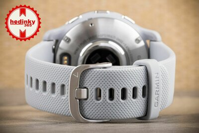 Garmin Venu 2 Plus Silver / Gray Band